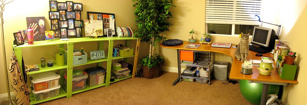 Freelance Consultant